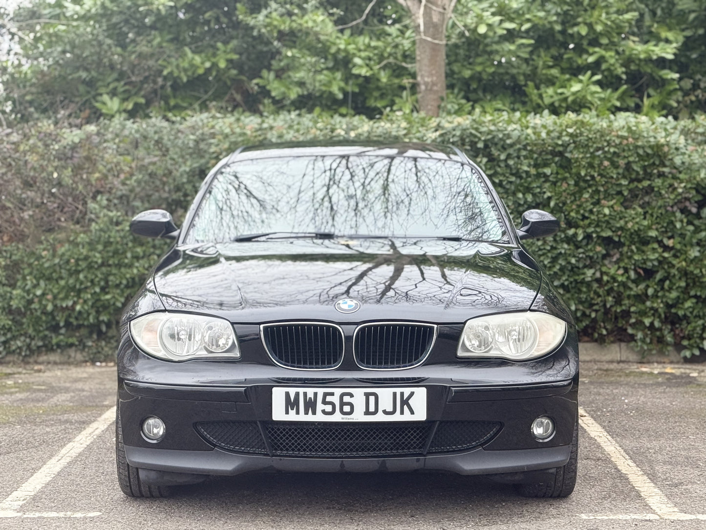 BMW 1 SERIES 116i SE 5dr